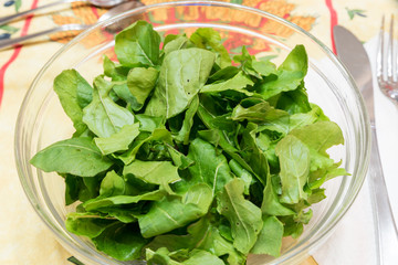 Bowl of rocket leaves