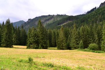 Fototapeta na wymiar krajobraz górski w Tatrach Słowackich