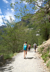 Fototapeta na wymiar Ruta de Ordesa y Monte Perdido en Huesca, España