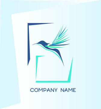 Humming bird. Kolibri bird. Company logo. 