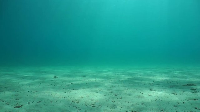 A sandy seabed with sunlight, natural underwater scene in the Mediterranean sea, Catalonia, El Port de la Selva, Costa Brava, Spain, 60 fps
