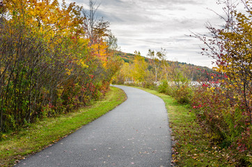 Curve along a Lakeside Path on a Cloudy Autumn Day,