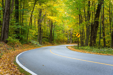 Curve Along a Mountain Road Through a Forest in Autumn