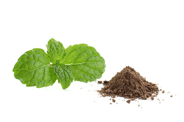mint leaves and drug isolated on white background