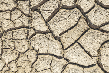 Arid soil background. Desert scene.
