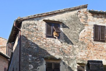 Toskana-Altstsadtimpressionen, 