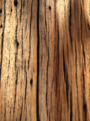 Holz