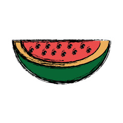 watermelon fruit icon