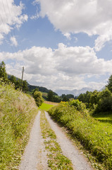 Fototapeta premium Ardez, Dorf, Ftan, Wanderweg, Feldweg, via Engiadina, Alpen, Engadin, Unterengadin, Ruine, Landwirtschaft, Bergkräuter, Bergwiese, Graubünden, Sommer, Schweiz