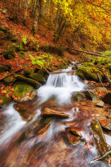 rapid mountain river in autumn.