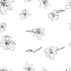 Lily flowers hand drawn in contour. Seamless pattern.  illustration.