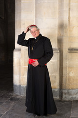 Cardinal with zucchetta