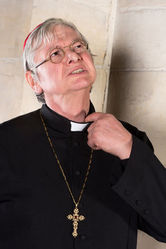 Cardinal With Pinching Collar