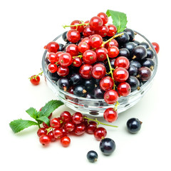 Glass vase with black and red currant on white background