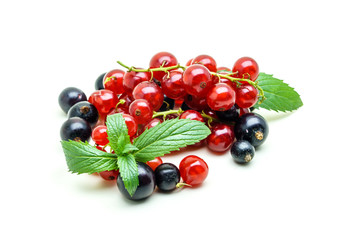Black and Red Currants on white background