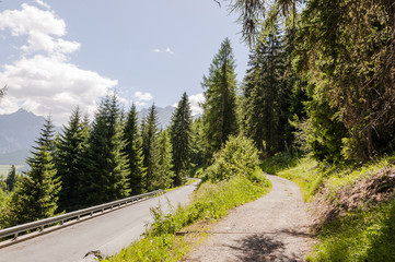 Fototapeta premium Ardez, Ftan, Scuol, Wanderweg, Bergstrasse, Engadin, Unterengadin, Waldweg, Engadinerstrasse, Alpen, Graubünden, Wanderferien, Sommer, Schweiz
