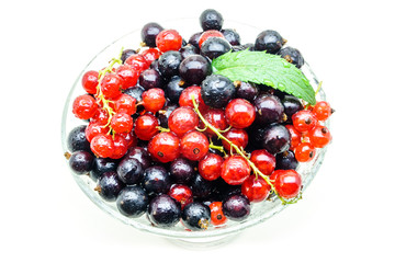 Glass vase with black and red currant on white background