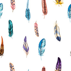 Seamless pattern with colorful detailed bird feathers.  illustration.