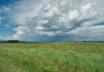 Obraz premium Belarusian Country