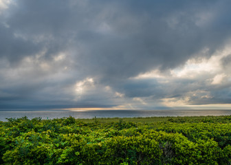Nantucket ocean beach at sunrise with clouds and seagrass