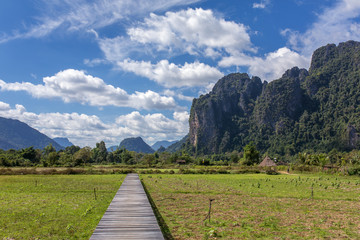 Wood bridge and paddy field rice in Vang Vieng, Laos