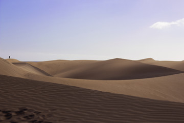 Fototapeta na wymiar Maspalomas Sand Dunes - Gran Caneria 