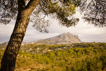 The Sainte-Victoire mountain, near Aix en Provence, which inspired the painter Paul Cezanne