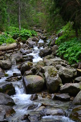 potok górski w Tatrach