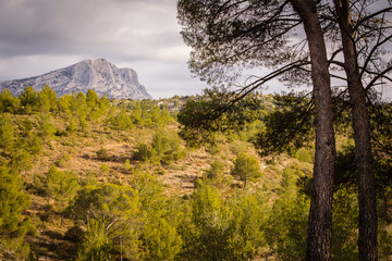 The Sainte-Victoire mountain, near Aix en Provence, which inspired the painter Paul Cezanne