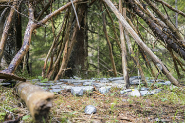 Stones arranged below a tent of branches arranged in a wigwam shape viewed low angle outdoors in a clearing in a forest © elfgradost
