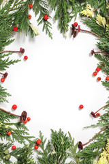 Evergreen fir tree decoration for christmas card isolated, new year pattern, copyspace white. Arrangement with succulents and red berries.