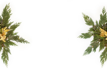 Evergreen leaves arranged in star shape isolated on white background. Flat lay, top view. Christmas related composition