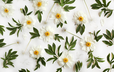 Obraz premium Flat lay floral pattern made of white peony flowers, green leaves and pasque-flower seeds on white background. Top view.
