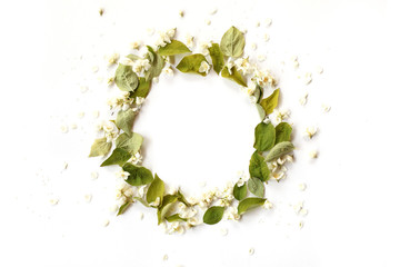 Fototapeta na wymiar Round border frame with white jasmin flowers, buds and green branches on white background. Overhead view.