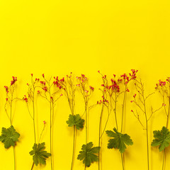 green leaves and tiny red flowers on yellow background