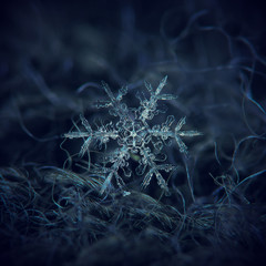 Real snowflake macro photo: large stellar dendrite snow crystal with fine symmetry, big central...