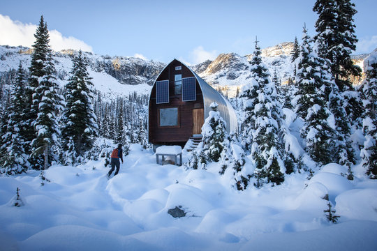 Cabin in the Woods