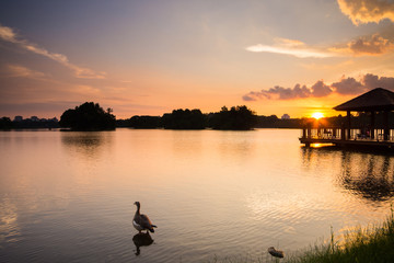A dramatic sunset at Wetland Lake, Putrajaya Malaysia.