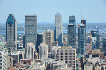 Fototapeta na wymiar Montreal Skyline in summer, Canada 