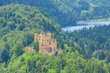 Fototapeta premium Mountain view, Neuschwanstein Castle, Munich, Germany