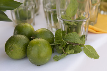 Lima y Menta para preparación de Mojito