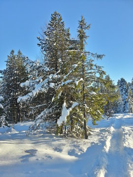 Winter in Schonach im Schwarzwald