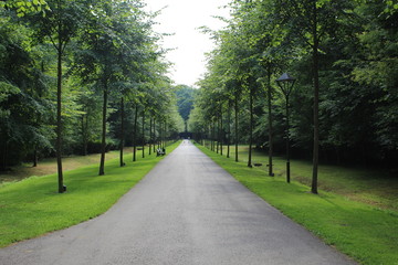 Baumallee Nordkirchen