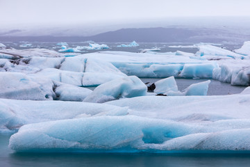Fototapeta na wymiar Icebergs floating in Jokulsarlon Lagoon by the southern coast of Iceland