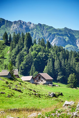 Fototapeta na wymiar Swiss Alps landscape