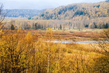 秋の大雪湖（北海道）