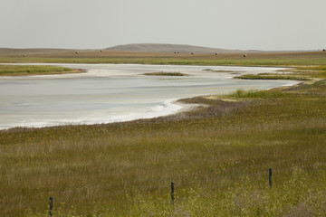 Fields of natural salt deposits in the prairies of Chaplin, Saskatchewan, Canada.