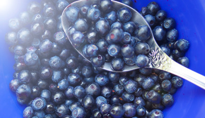 Blueberry and mint. Flavors. Still life. Cover.