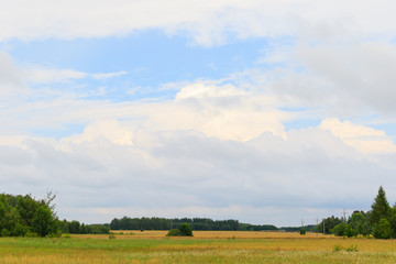 Countryside landscape under the blue sky - 166720836