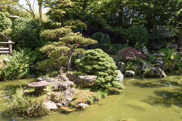 Japanese tea Garden